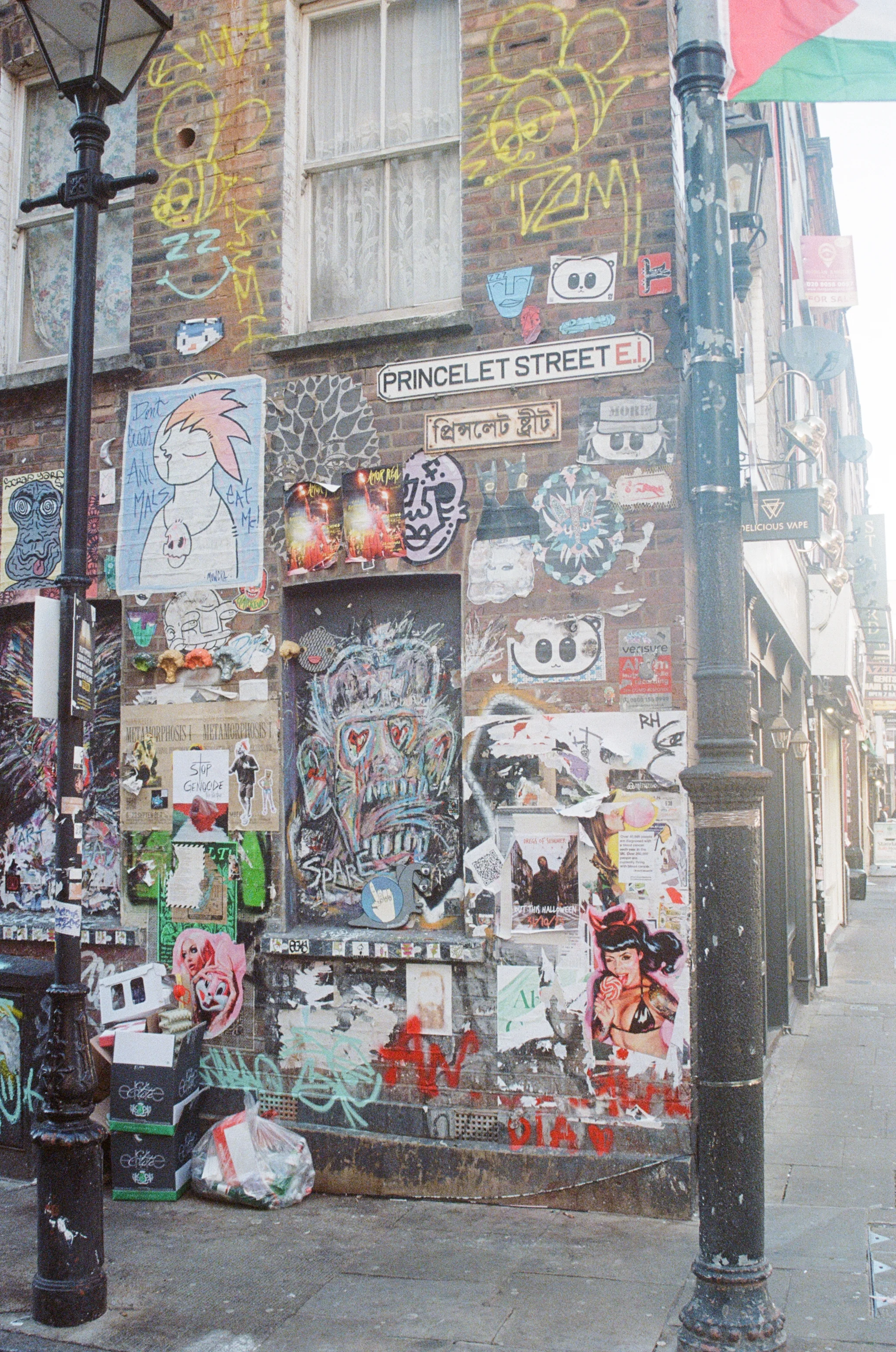 Gallery Image 8